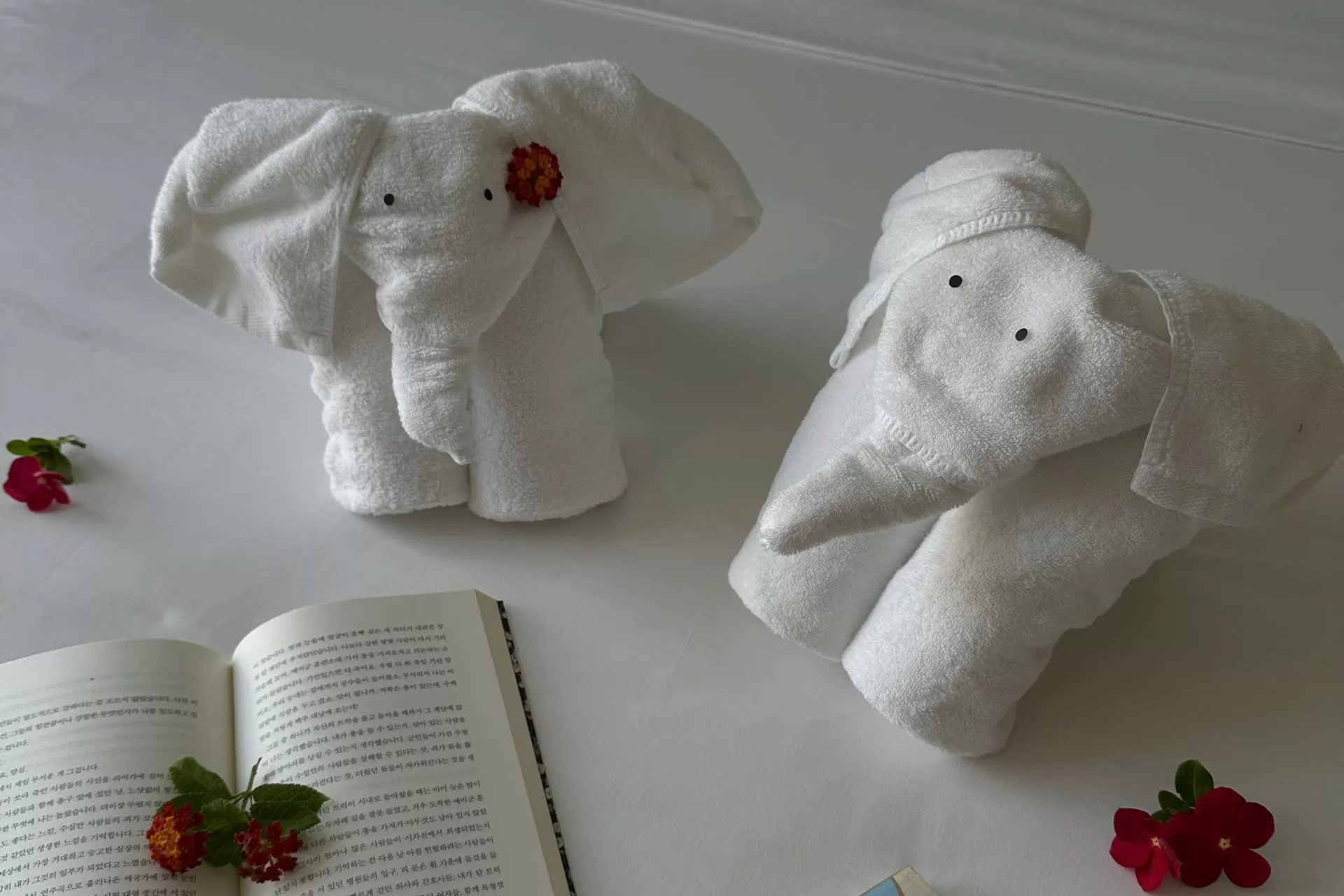 Deluxe Double Room: Hướng Chếch Biển Và Thành Phố